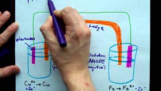 Whats the Anode Cathode and Salt Bridge [upl. by Anatnom]