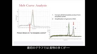 【定量PCRを学ぶ】定量PCRの検出法の選択 [upl. by Lered]