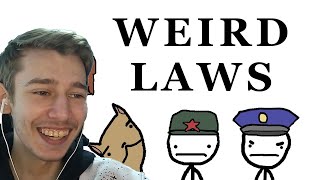 Weird Laws from Around the World REACTION [upl. by Esirehs]