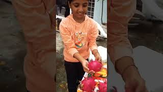 Garden lo dragonfruit garden telugu fruits [upl. by Yecies]