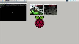 Lluvia on Raspberry Pi 4  Optical flow demo [upl. by Alvan]