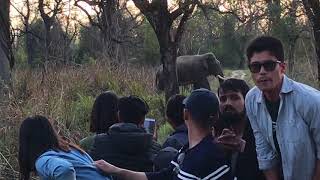 Close encounter with killer elephant name Ronaldo of Chitwan jungle tour at saurah Nepal 🐘 [upl. by Ambrosi564]