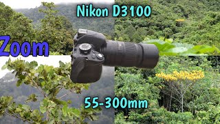 Video Nikon D3100 55300mm Zoom lens [upl. by Ayala112]