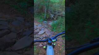 MARIN RIFT ZONE E⚡️trail riding [upl. by Eira]