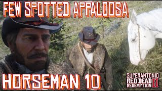 A Wild Few Spotted Appaloosa Location For Horseman 10 With Arthur in Red Dead Redemption 2 [upl. by Kostival]