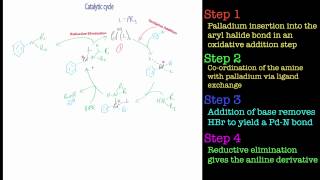 The BuchwaldHartwig Amination Reaction [upl. by Haet]