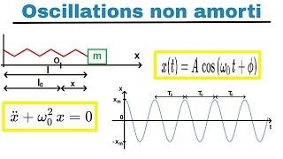 Oscillations  non amorti شرح [upl. by Etnuad]