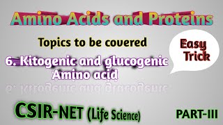 Ketogenic and Glucogenic amino acids  Easy tricks and technique [upl. by Minda]