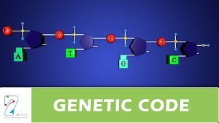 GENETIC CODE [upl. by O'Hara]