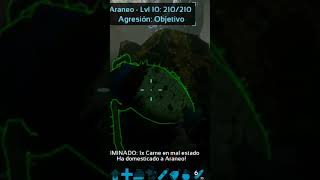 ARANEO FACIL Y SENCILLO arksurvivalevolved dinosaurios dinosaur survivalgames arkmobile [upl. by Aissej]