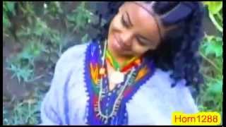 New Ethiopian Amharic Music  አበባዩህ ደምሴ  ማርዘነብ [upl. by Gleeson]