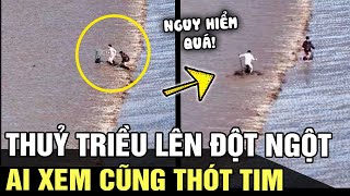 Ngư dân đang VỚT CÁ TRÊN BIỂN thì THUỶ TRIỀU LÊN chỉ chậm 1 chút là HỐI HẬN CẢ ĐỜI  Tin nhanh 24h [upl. by Eirolav]