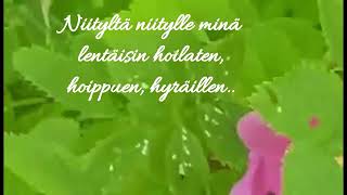 Juhannus toivotukset jokaiselle ðŸ’ðŸ˜ŠðŸŒºðŸ€ðŸ™ðŸŒžðŸŒ»ðŸ’š [upl. by Eirrod574]