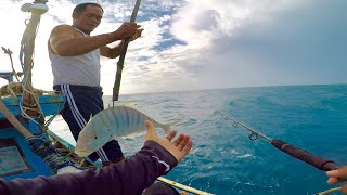 jigging sagai and Golden Trevally [upl. by Casady]