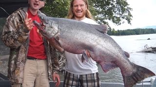 Massive King Salmon Caught Bar Fishing [upl. by Siuluj]