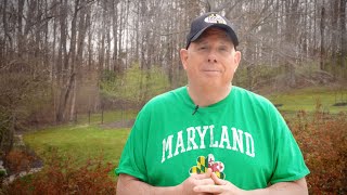 Governor Larry Hogan Celebrates Maryland Day [upl. by Asilehc]