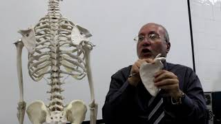 Practical osteology upper limb 4  Scapula  by Dr Wahdan [upl. by Mcfarland]