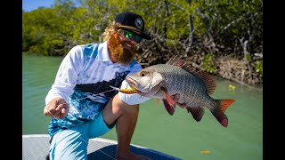 Catching Mangrove Jack and Threadfin on Lures in one of Mackay’s Mangrove Lined Creeks [upl. by Brosy]