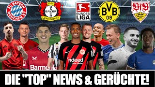 UNDAV HAMMER  BUNDESLIGA MONSTER TRANSFER  BEIER BVB HEIß  VIDOVIC FCB  EINTRACHT TRANSFER [upl. by Ymirej463]