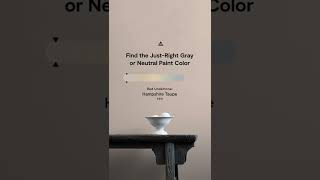 Finding the Right Gray or Neutral Paint Color [upl. by Leese80]