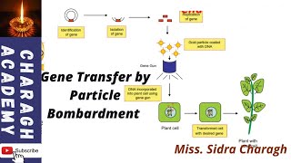 Gene Transfer by Particle Bombardment ✍✍ [upl. by Nuawtna]