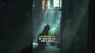 SOÑAR CON GATOS NEGROS fantasmas paranormal creepypasta horrorstories miedo gatos [upl. by Paik201]