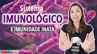 Sistema Imunológico e Imunidade Inata  Anatomia etc [upl. by Rehm]