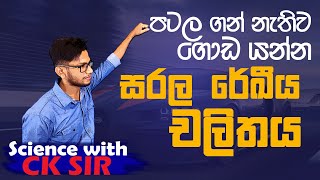 සරල රේඛීය චලිතය 01 විද්‍යාවට හොදමspecial seminar science with CK sirOLgrade 10 grade 11epapere [upl. by Ecirtam]