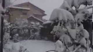 2014 東京雪の日 雪は、もういいです！ Tokyo Snow 140208 [upl. by Ardy]