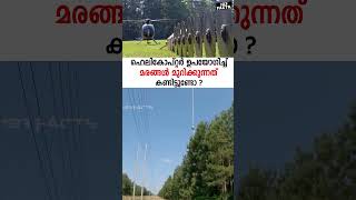 ഹെലികോപ്റ്റർ ഉപയോഗിച്ച് മരങ്ങൾ മുറിക്കുന്നത് കണ്ടിട്ടുണ്ടോ  Helicopter tree line trimming [upl. by Omrellig]