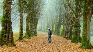 I found so many little treasures along the ancient fairy tale path Metal Detecting Germany Nr202 [upl. by Eibreh]