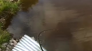 Pêche du carnassier au Québec  GO PRO [upl. by Ennayelsel]