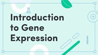 Y1112 Biology Introduction to Gene Expression [upl. by Nayb]