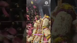 🏵️🌺 Kandha Muruga Vela 🌺🐓🙏short [upl. by Hanima]