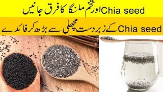 Chia Seeds and Tukh Malanga are Same Urdu  Hindi [upl. by Cenac]