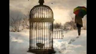 Dan Fogelberg  Empty Cages [upl. by Larrisa]