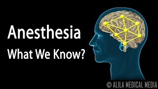 Neuroscience Basics Anesthesia How it Works Animation [upl. by Edwyna]