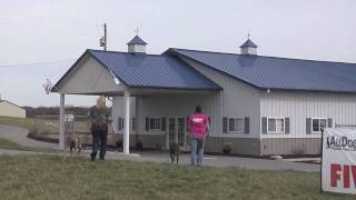 Morton Buildings Tour  All Dogs Canine Care Kennel [upl. by Trbor]