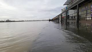 La Garonne à bordeaux [upl. by Sabec]