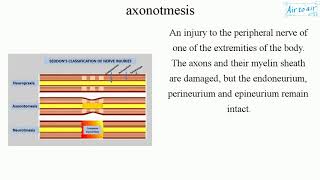 axonotmesis [upl. by Stanley]