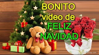 🌲Un BONITO mensaje de NAVIDAD🦋 Feliz Navidad y Prospero año nuevo Familia amigos frases [upl. by Nanreh]