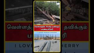 Fengal Cyclone News  Pondicherry Tourist Places  Pondicherry Flood  Pondicherry  Pondy  shorts [upl. by Child550]