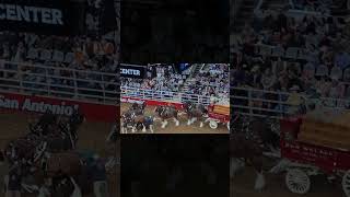 Budweiser Clydesdale Horse Accident  2023 San Antonio Rodeo shorts youtubeshorts [upl. by Seedman]