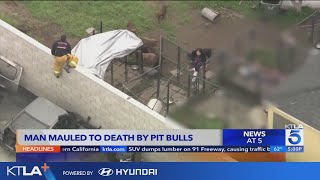 Compton pit bull breeder mauled to death by his own dogs [upl. by Etnauj159]