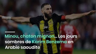 Minou chaton mignon… Les jours sombres de Karim Benzema en Arabie saoudite [upl. by Swor498]