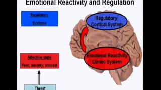 Introduction to the neuroscience of emotions [upl. by Ennaisoj]