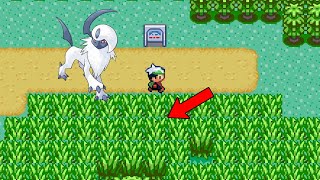 How To Catch Absol in Pokémon Emerald [upl. by Hermosa896]