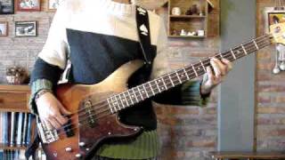 Skap  Cannabis Legalizacion Bass Cover [upl. by Duvall]