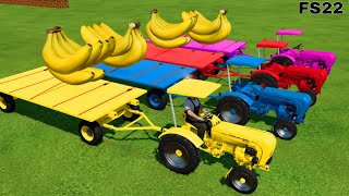 FBANANA LOAD amp WITH MINI PORSCHE TRACTORS IN TRANSPORT  FARMING SIMULATOR 22 [upl. by Ynnel]