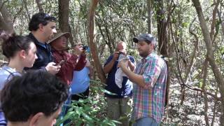 A Woodrat Nest Walk in Croc Lake NWR with Dr Michael Cove [upl. by Gonzalo]